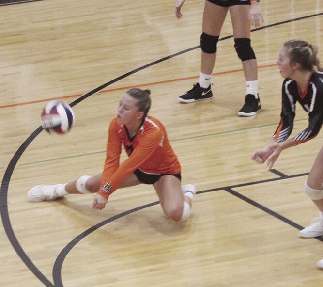 Tayler Elchynski